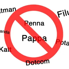 Förbjudna namn som Batman, Pappa, Penna, Filur, Veranda, Katt, Potatis och Dotcom. Kanske några av Sveriges ovanligaste namn.