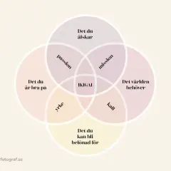 Diagrammet visar hur passion, mission, kall och yrke möts i IKIGAI. Förstår du meningen med det, iykyk?