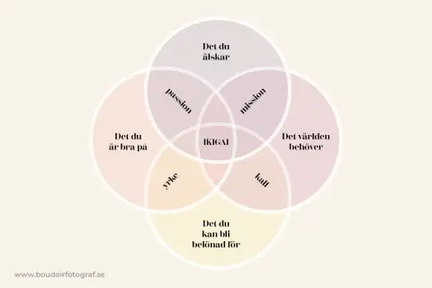 Diagrammet visar hur passion, mission, kall och yrke möts i IKIGAI. Förstår du meningen med det, iykyk?