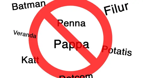 Förbjudna namn som Batman, Pappa, Penna, Filur, Veranda, Katt, Potatis och Dotcom. Kanske några av Sveriges ovanligaste namn.
