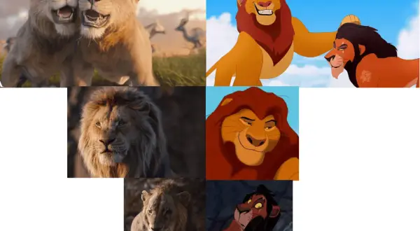 Mufasa lejonkungen och hans familj. Lejonungar som leker, Mufasa med Scar, och närbilder på lejon.