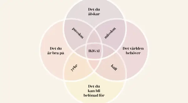 Diagrammet visar hur passion, mission, kall och yrke möts i IKIGAI. Förstår du meningen med det, iykyk?