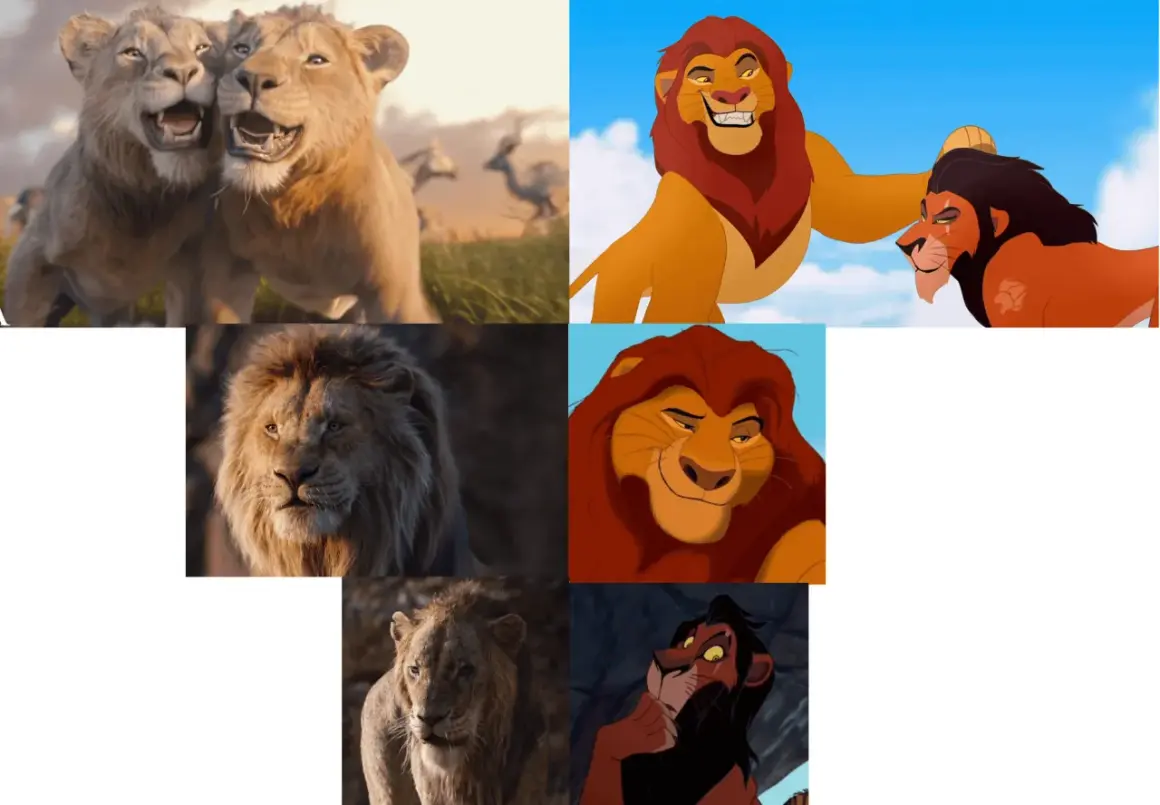 Mufasa lejonkungen och hans familj. Lejonungar som leker, Mufasa med Scar, och närbilder på lejon.