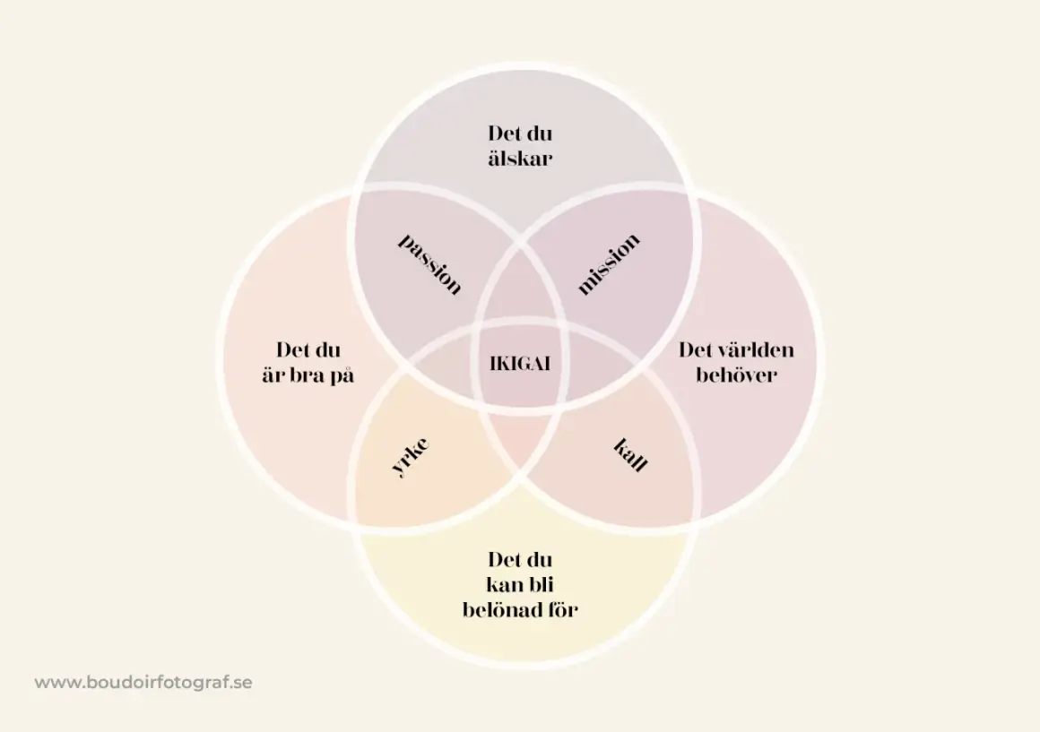 Diagrammet visar hur passion, mission, kall och yrke möts i IKIGAI. Förstår du meningen med det, iykyk?