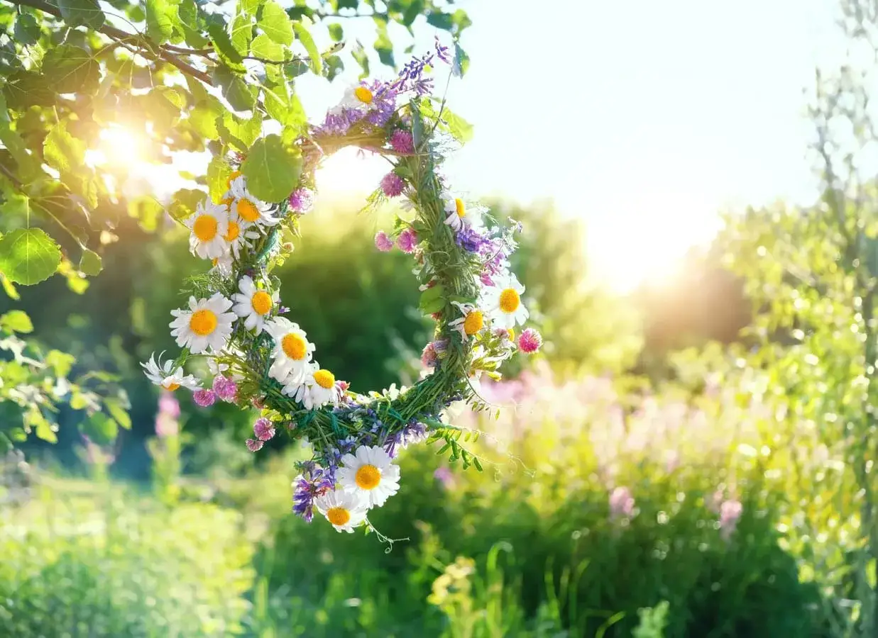 En midsommarkrans av prästkragar och blåklockor hänger i en trädgren. Solen skiner genom lövverket, en vacker bild av midsommar betydelse.